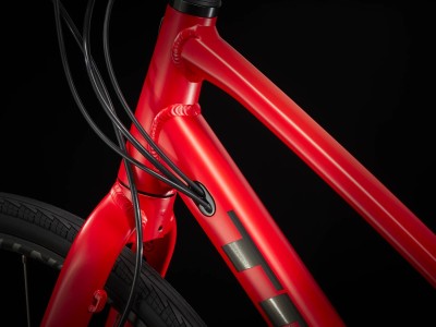 Fitness bike FX 2 Disc Stagger Viper Red