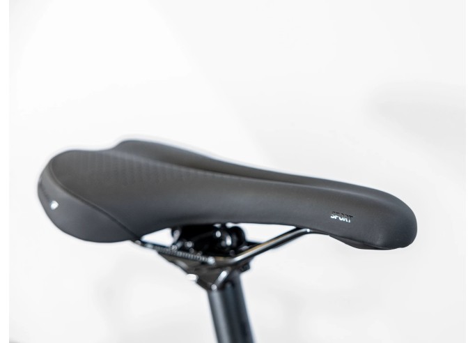 TREK Dual Sport 2 Gen 5 Equipped Mulsanne