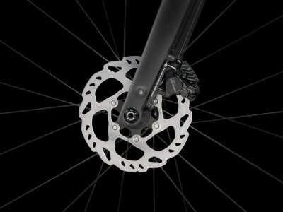 TREK Domane SL 5 Gen 4 Matte Deep Smoke plento dviratis