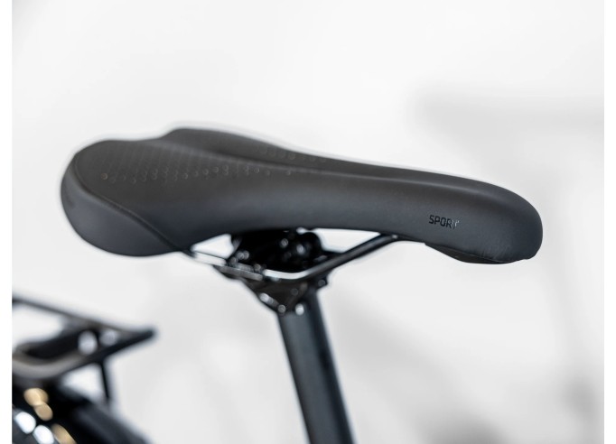 Cross bike Dual Sport 2 Equipped Stagger Gen 5 Juniper