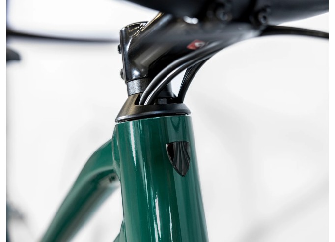 Cross bike Dual Sport 2 Equipped Stagger Gen 5 Juniper