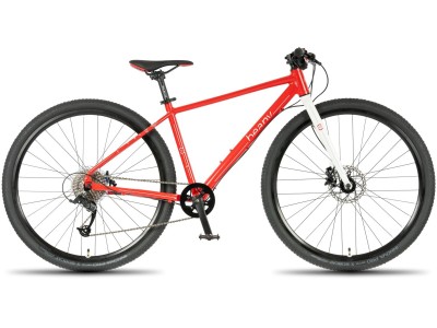 Kids bike BEANY ZERO 29 red