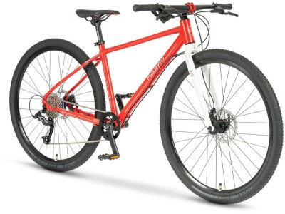 Kids bike BEANY ZERO 29 red 2