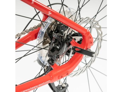 Kids bike BEANY ZERO 29 red