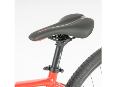 Kids bike BEANY ZERO 29 red