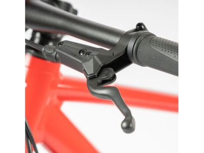 Kids bike BEANY ZERO 29 red