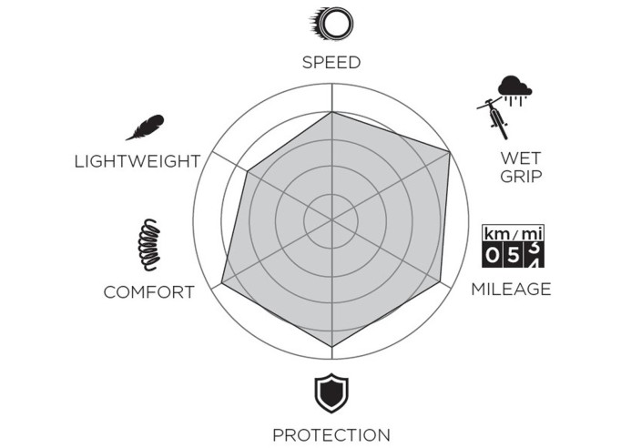 Tire Pirelli P ZERO™ Race 4S