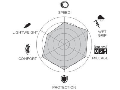 Tire Pirelli P ZERO™ Race
