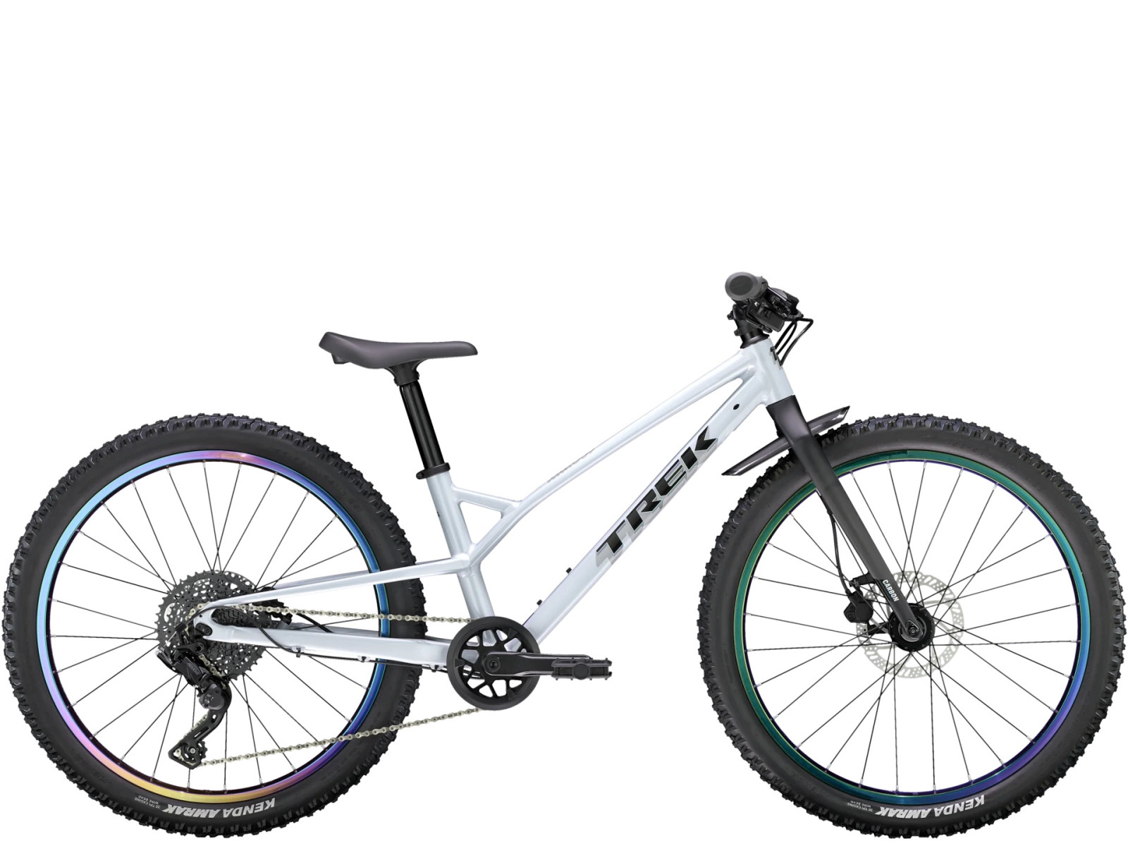 Silver best sale trek bike