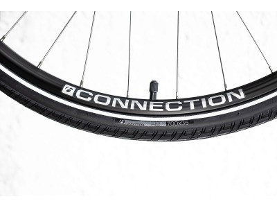 Fitness bike FX 2 Disc Stagger Satin Lithium Grey (2022)