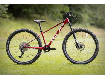Bicycle Superior Team 27 Gloss Dark Red/Hologram Chrome 2