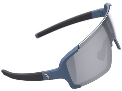 Glasses BBB BSG-69 sports glasses Chester MLC silver mirror matt blue