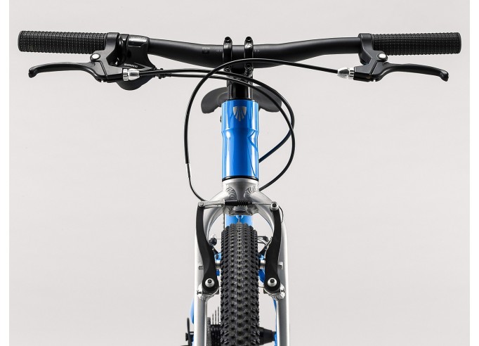 Kids bike TREK Wahoo 24 Waterloo Blue/Quicksilver