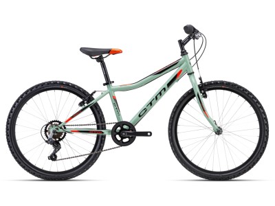 CTM Berry 1.0 vaikiškas dviratis grey green/orange