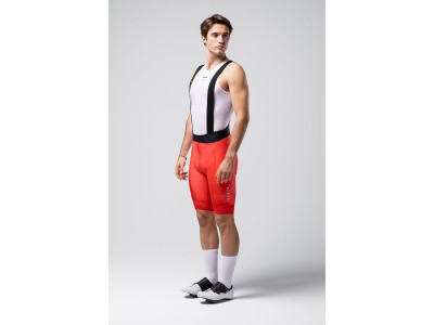 BIB SHORTS GOBIK Gobik Absolute PRINT GLYPH