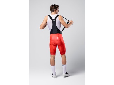 BIB SHORTS GOBIK Gobik Absolute PRINT GLYPH