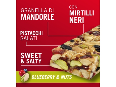 Enervit Power Time Dried Blueberry and Nuts