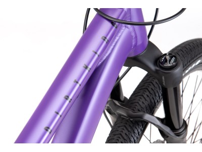 CTM Dirtking Xpert matt violet / black dirt jump dviratis