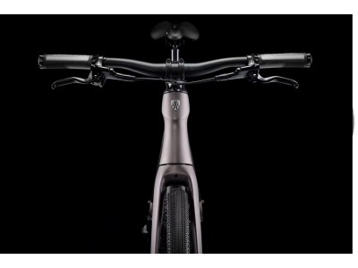 TREK FX Sport SL 6 fitness dviratis | Matte Bronze Age/Deep Smoke