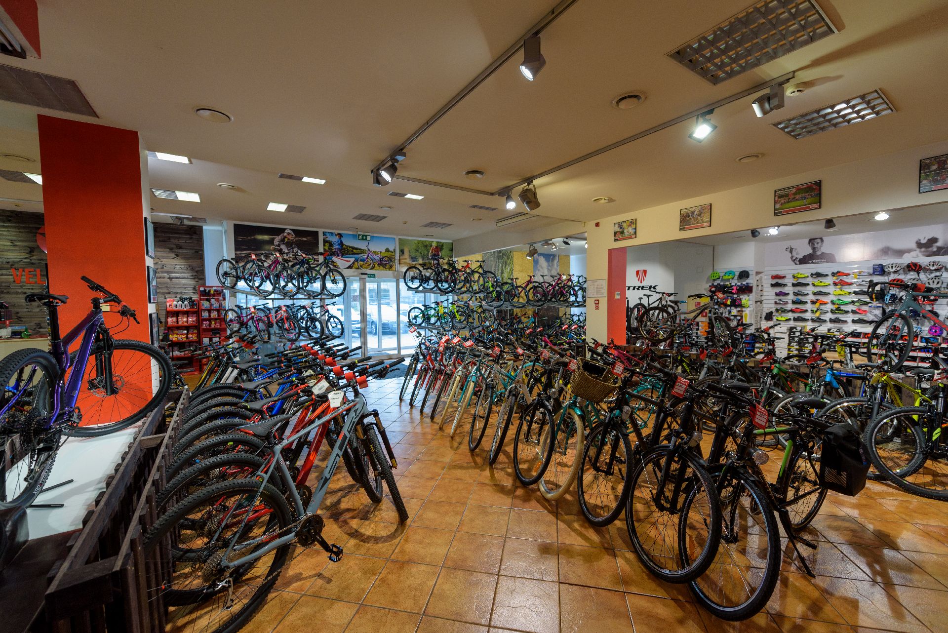 bicycle shop, Veloprofs