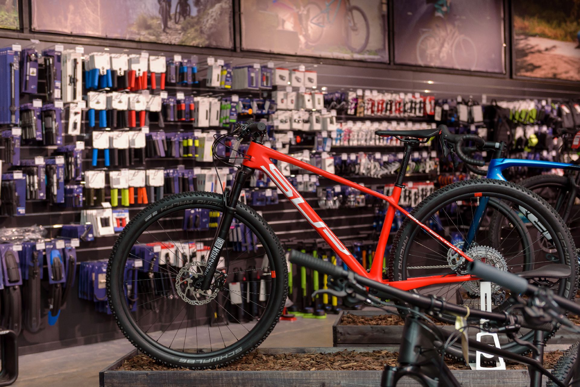 bicycle shop, Veloprofs