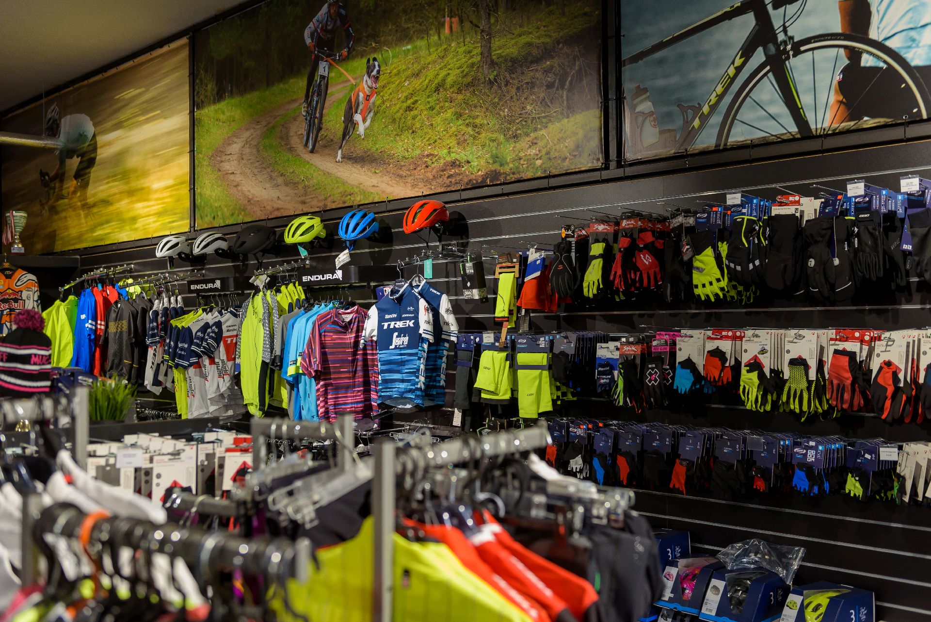 bicycle shop, Veloprofs