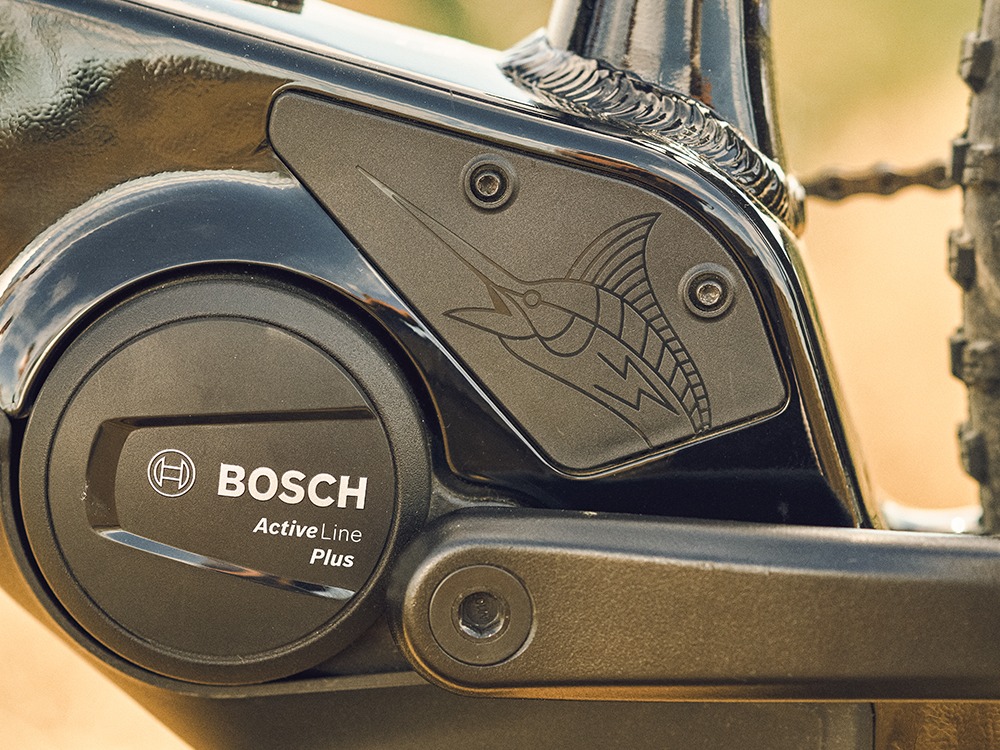 Kaip išsirinkti tinkamą elektrinį dviratį?